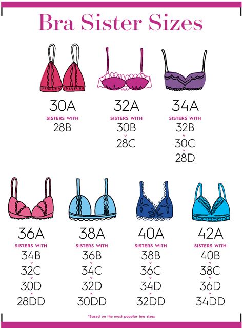 34m bra|34b bra size in inches.